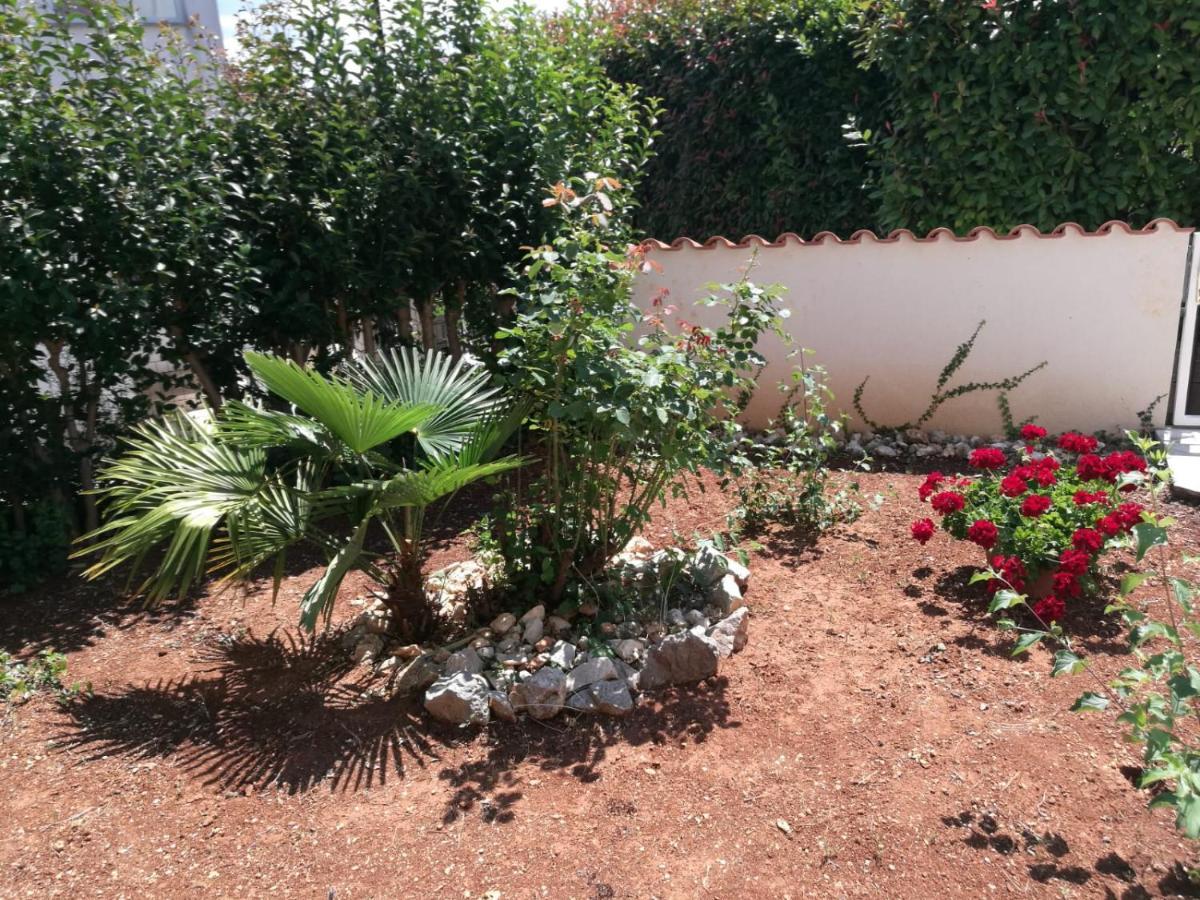 Ferienhaus Bozena Appartment 4 Vrsar Dış mekan fotoğraf